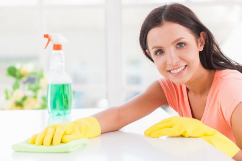 Professional end of tenancy cleaning in a Westminster apartment living room