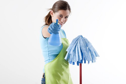 Professional pet stain odour removal treatment in a Westminster home