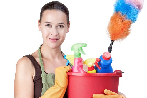 Professional cleaners working in a Westminster apartment interior