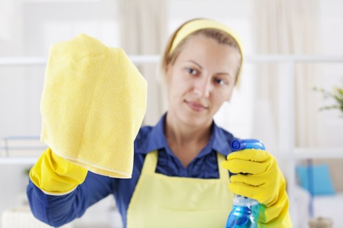 Professional cleaners in Westminster at work in a modern home
