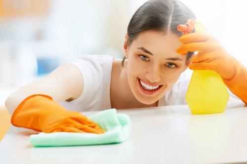Deep rug cleaning in Westminster removing dust and stains from fibres