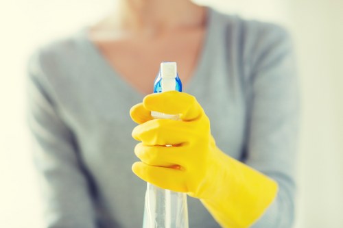 Professional cleaners working in a Westminster property