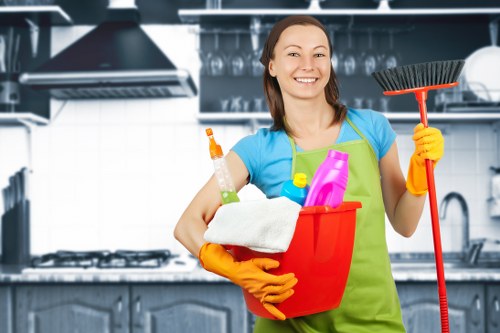 A cleaner vacuuming and dusting in a modern Westminster home