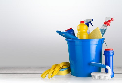 Professional cleaner performing a detailed interior clean