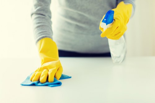Domestic and commercial cleaning service in Westminster