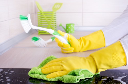 Carpet deep cleaning equipment used in a Westminster property