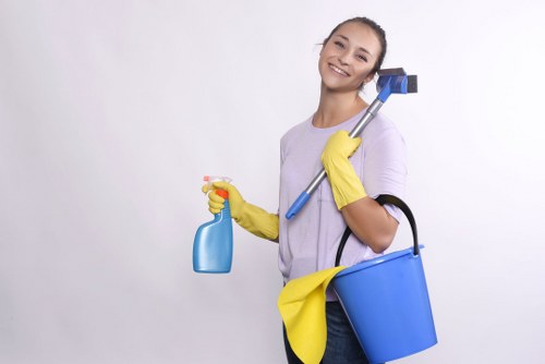 Clean kitchen surfaces after domestic cleaning in Westminster