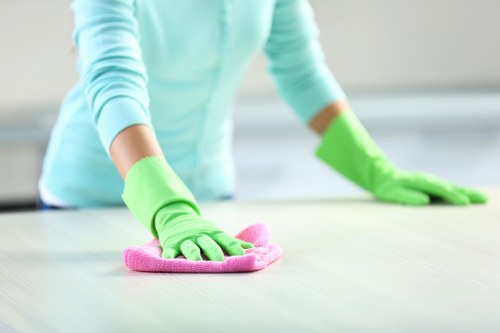 Local cleaning company in Westminster handling deep cleaning tasks