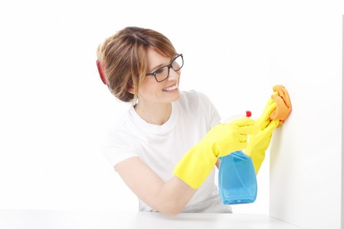 Local oven cleaner working in a Westminster apartment kitchen